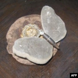 Каменные бабочки из Нью-Йорка сделали остановку в Санкт-Петербурге