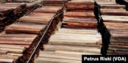 Kayu merbau olahan dari Papua diamankan Gakkum KLHK pada 2019 di Surabaya (Foto: VOA/Petrus Riski)