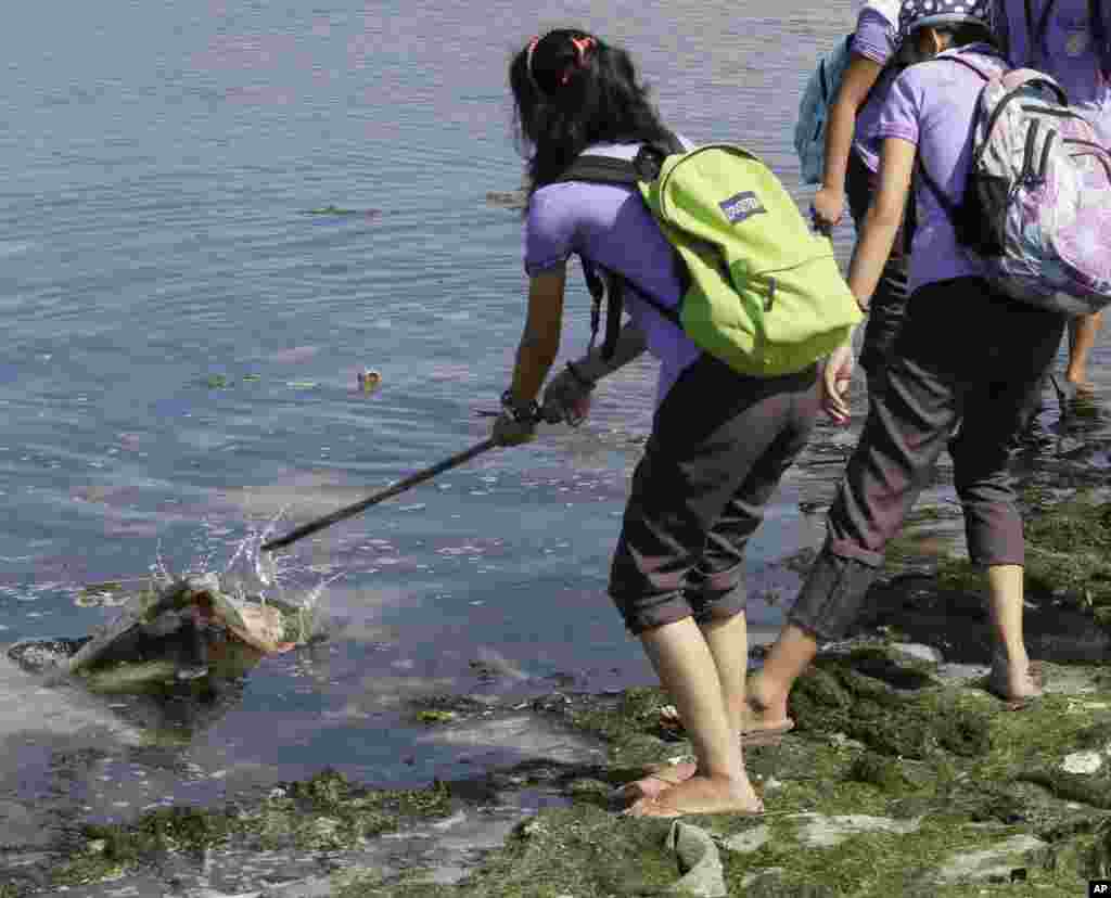 A student collects waste as she joins other environmental activists in a coastal cleanup along the shores of Freedom Island to mark World Earth Day, in Las Pinas, south of Manila, Philippines, April 22, 2015.