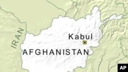 Afghan Senator Killed in Police Shooting