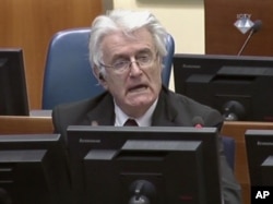 FILE - Former Bosnian Serb leader Radovan Karadzic addresses the court of the International Criminal Tribunal for the former Yugoslavia in The Hague, Netherlands, in this image taken from TV, Oct. 1, 2014.