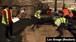 FILE: Workers prepare to quality-control the cashew nuts at a warehouse in Abidjan, Ivory Coast on May 13, 2020