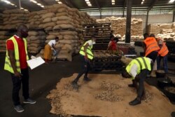 Contrôle de la qualité des noix de cajou dans un entrepôt à Abidjan, en Côte d'Ivoire, le 13 mai 2020.