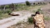 Conservationists Decry Killing of Lions in Kenya that Attacked Livestock