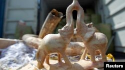 A seized handicraft item made of ivory sits near seized elephant tusks at a Malaysian customs office in Port Klang outside Kuala Lumpur, December 13, 2011.