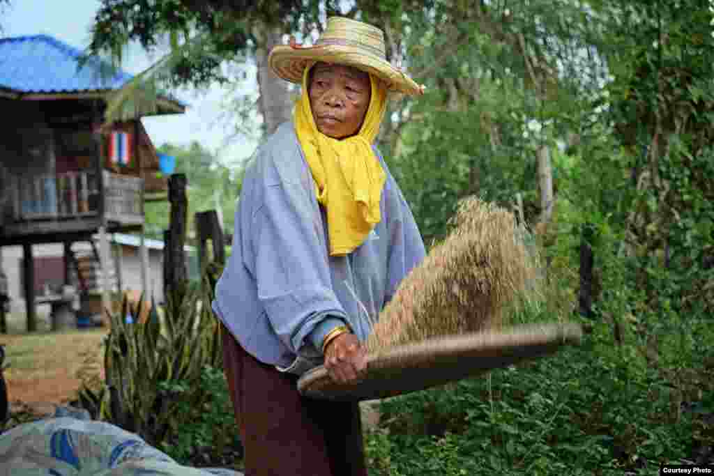 An elderly Thai woman sifts through rice grains on a bamboo tray, a process that removes stalks and dust from her newly harvested crop. (Photo taken by Matthew Richards/Thailand/VOA reader)