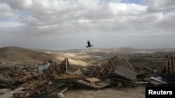 A bird flies over pieces of wood in an area near Jerusalem known as E1, where there are plans for construction of some 3,000 settler homes, December 6, 2012.