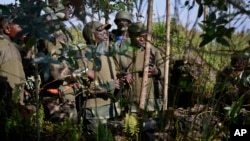 Des membres de l'armée congolaise près de Goma, le 27 octobre 2013.