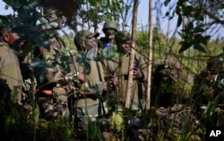 FILE - FILE - Congolese army commanders discuss tactics near Kibumba Hill, which is occupied by M23 rebels, around 25kms from the provincial capital Goma, in eastern Congo.