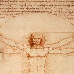 Detail from the drawing "Vitruvian Man"