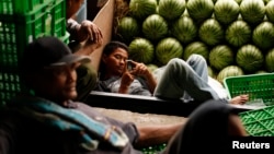 A worker holds his cell phone as he rests next to watermelons at the Kramat Jati central market in Jakarta, March 4, 2011. 