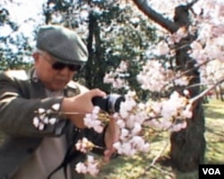 Washington: Pozdrav proljeću i suosjećanje sa Japancima