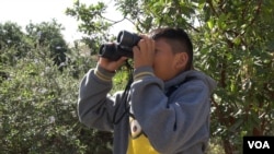 Frank Az, 9, a student at Esperanza Elementary School in Los Angeles, scans an area for bird species. (M. O'Sullivan/VOA)