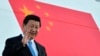 Analysts: China Corruption Crackdown Lacks Independence