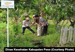 Petugas Survailens Dinas Kesehatan Kabupaten Poso, Sulawesi Tengah mengambil sampel keong Oncomelania seukuran buah padi untuk diteliti bila positif mengandung Serkaria cacing Schistosoma, di salah satu lokasi fokus Keong di Tomehipi Lore Barat Kabupaten