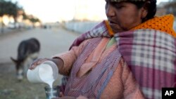 FILE - Donkey milk vendor Andrea Aruquipa, an Aymara indigenous woman, pours a glass of milk from her donkey for a client in El Alto, Bolivia, May 24, 2016.