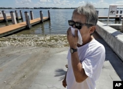 Alex Kuizon covers his face as he stands near dead fish at a boat ramp in Bradenton Beach, Florida, Aug. 6, 2018.