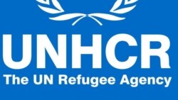 Horiin baqataan gargaaran akka UNHCR jedhutti diqqaachuutti jira