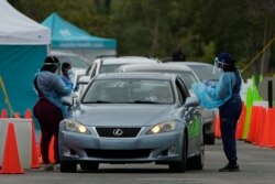 Healthcare workers administer nasal swabs to drivers and passengers at a drive-through COVID-19 testing site at Zoo Miami, Jan. 3, 2022, in Miami.
