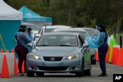 Healthcare workers administer nasal swabs to drivers and passengers at a drive-through COVID-19 testing site at Zoo Miami, Jan. 3, 2022, in Miami.