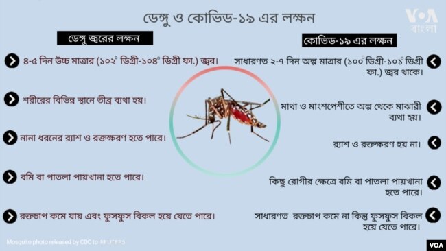 ডেঙ্গু ও কোভিড-১৯ লক্ষন