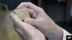 Robert Biggs, professor emeritus at the University of Chicago, holds an Old Akkadian text tablet that was used in the research and assembly of the university's Assyrian Dictionary at the school's Oriental Institute in Chicago, May 28, 2011