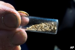 FILE - Chris Hall shows off a vile of gold he's mined from the Wild Ammonoosuc River in Bath, N.H., Sept. 4, 2016. A new generation of gold miners is giving prospecting a try, especially in New England and the Pacific Northwest.