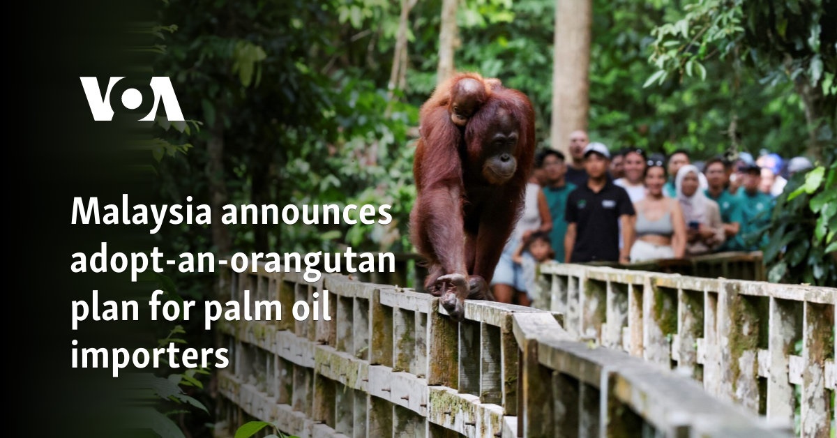 Malaysia announces adopt-an-orangutan plan for palm oil importers