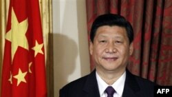 Зампредседателя КНР Си Цзиньпин в Дублине, Ирландия. 19 февраля 2012 г.