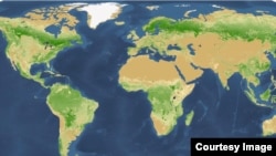 Peta kepadatan pohon di dunia yang dibuat Yale University.