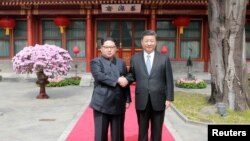 악수하고 있는 김정은 북한 위원장과 시진핑 중국 국가주석의 모습