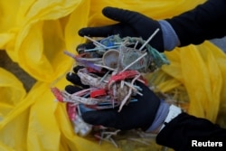 FILE - A volunteer shows plastics retrieved from the ocean, after a garbage collection, ahead of World Environment Day, on La Costilla Beach, on the coast of the Atlantic Ocean in Rota, Spain, June 2, 2018.