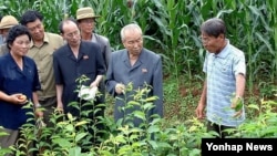 지난 7월 북한 평양시 사동구역의 오류남새전문협동농장을 방문한 최영림 내각 총리(오른쪽 2번째).