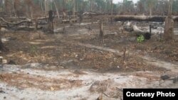 Chan Soveth, deputy chief of Adhoc’s program for land and natural resources, is being sued for “incitement,” following remarks made in local media that claim that people in rural areas, like Pursat, are threatened by powerful local officials and business interests. Photo courtesy of Adhoc.
