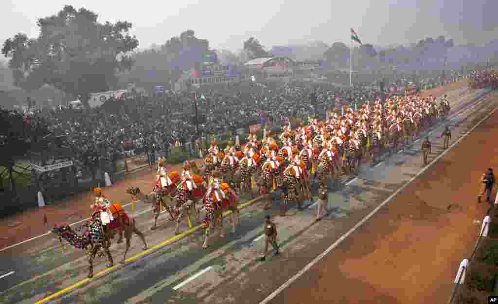 인도 뉴델리에서 열린 공화국 기념일 열병식에서 국경수비대원들이 낙타를 탄 채 행진하고 있다.