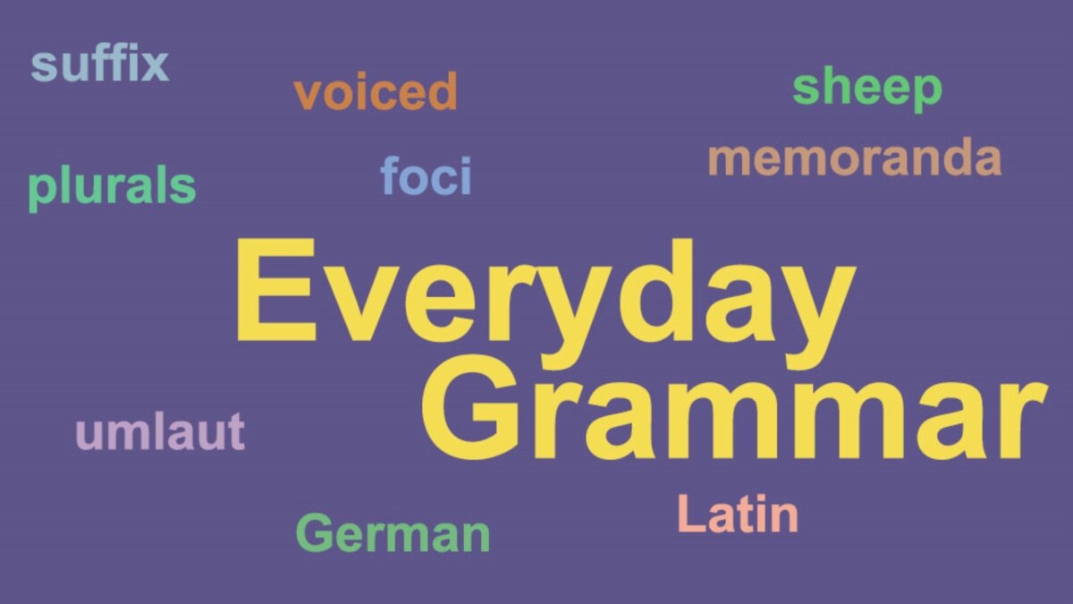 everyday-grammar-unusual-plurals