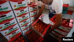 Nga cấm nhập khẩu phần lớn thực phẩm từ các nước phương Tây