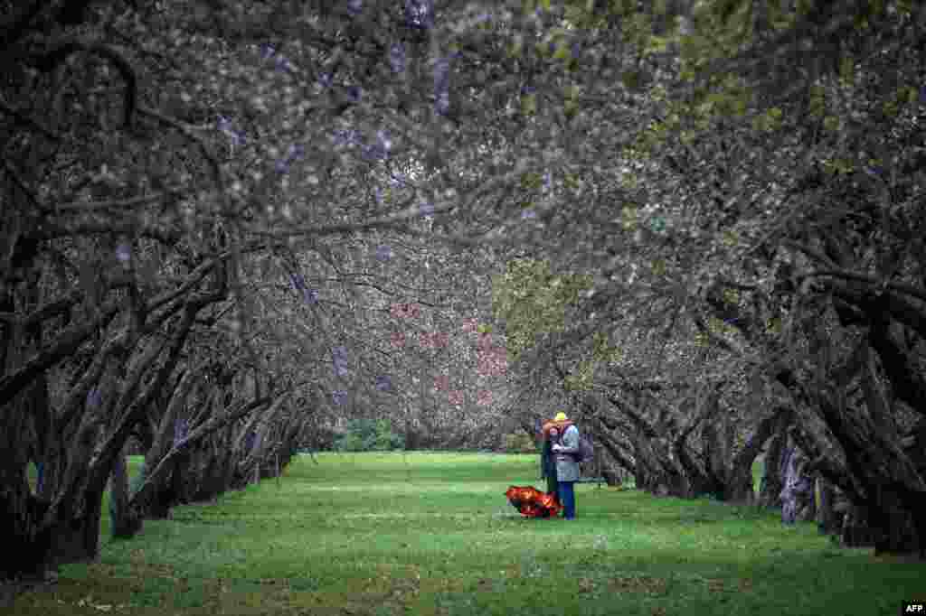 A couple enjoys the autumn weather in Moscow&#39;s Kolomenskoye park, Russia.