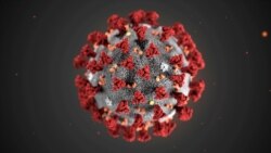 Bentuk virus COVID-19. (Foto: Centers for Disease Control and Prevention)