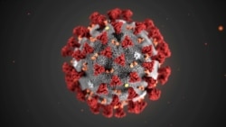 Quiz - Scientists Create Music to Represent Protein Structure of the Coronavirus