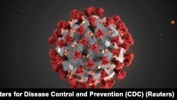ပုံကြီးချဲ့ထားသော 2019 Novel Coronavirus (2019-nCoV) ပိုးပုံ။ (TPX IMAGES OF THE DAY - RC2WPE9B0G2T)
