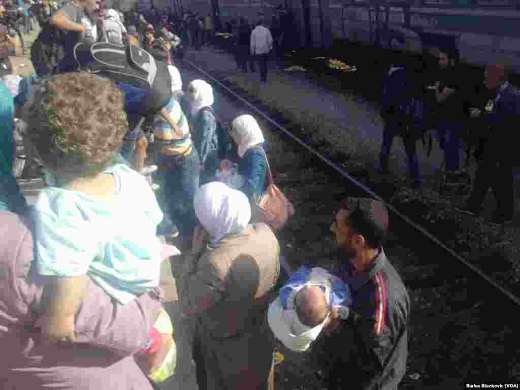 Migrants - Macedonia Tabanovce, Macedonian Serbian border September 17, 2015