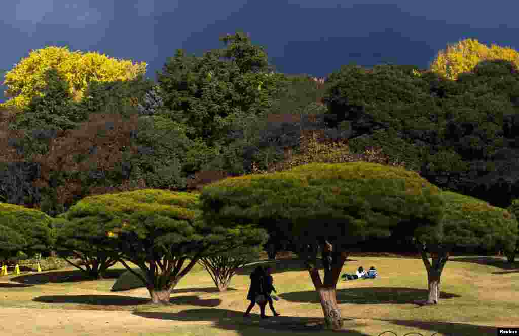 Women walk through Shinjuku Gyoen National Garden on a sunny autumn day in Tokyo, Japan.