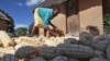 Sub-Saharan Africa Facing Severe Food Shortage