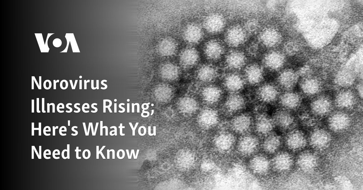 Norovirus Illnesses Rising; Here’s What You Need to Know