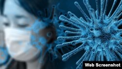Koronavirus