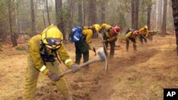 Para petugas pemadam kebakaran menggali lubang pembatas api untuk melindungi taman nasional Yosemite dari kebakaran hutan (25/8). 