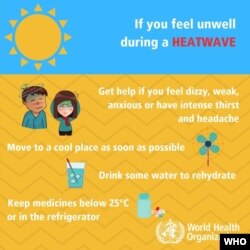 WHO Heatwave safety precautions