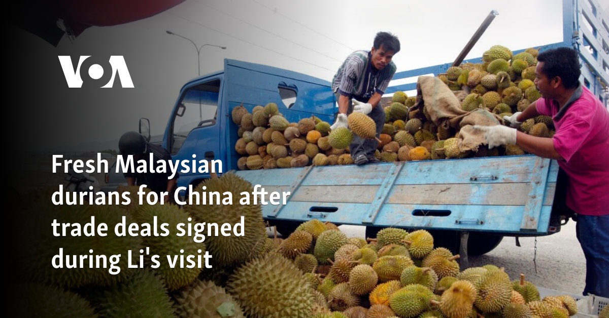 李克强访华期间签署贸易协议 马来西亚向中国供应新鲜榴莲 – 美国之音