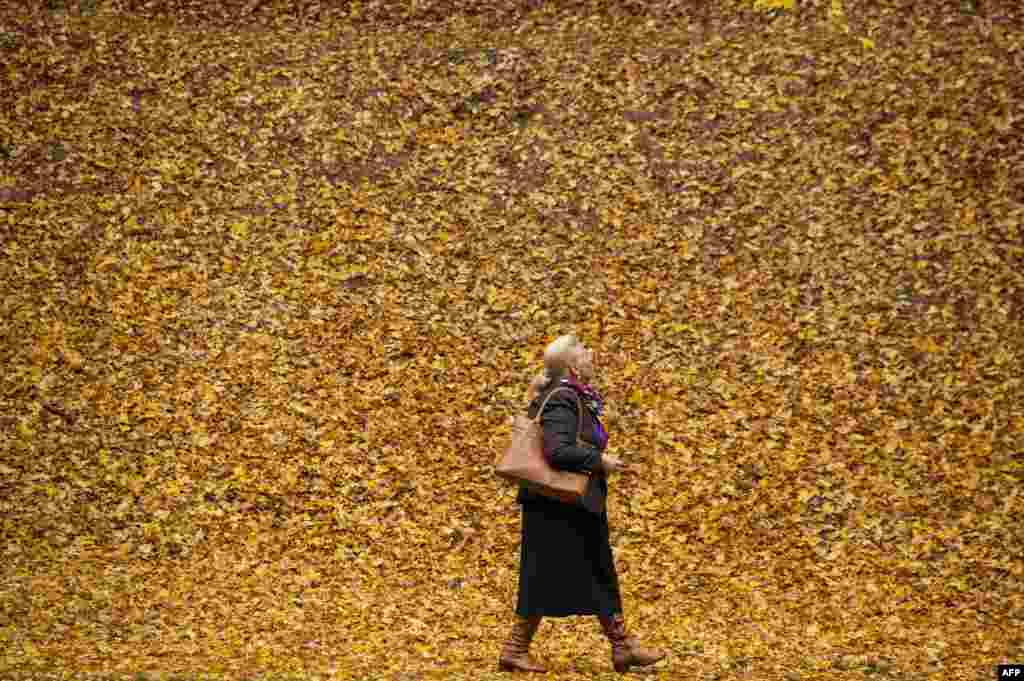 A woman walks through the park, covered of fallen yellow leaves, near Pristina, Kosovo.
